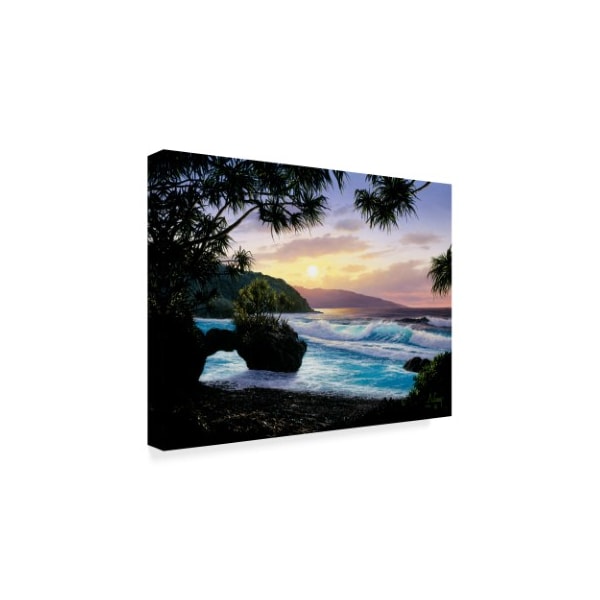 Anthony Casay 'Sunset Coast 3' Canvas Art,35x47